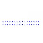 Antspaudas Dantų numeracija 3 var.