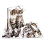 Plastikinis dėklas su guma CATS, Herma, A4