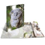 Plastikinis dėklas su guma KOALA, Herma, A4